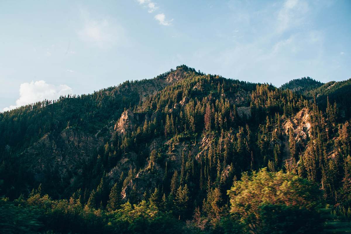 mountain range trees covered mountains during daytime nature